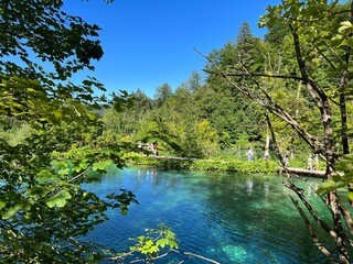  Landscape and environment of Plitvice Lakes National Park (UNESCO) - Plitvica, Croatia or Slikoviti krajobrazi i prekrasni motivi iz nacionalnog parka Plitvička jezera - Plitvice, Hrvatska
