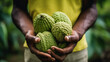Close-up partial view of a farmer holding organic breadfruit. Generative AI. 