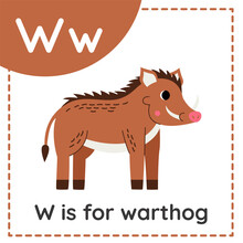 Learning English Alphabet For Kids. Letter W. Cute Cartoon Warthog