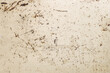 Grunge abstract background - White rusty Corroded and scratched  metal sheet decay texture background.