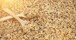 Mixed seed for feed bird as nature food background - Top view of white , brown and black grains on wooden spoon.