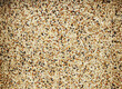 Mixed seed for feed bird as nature food background - Top view of white , brown and black grains.