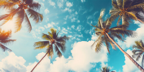 Wall Mural - Summer holidays travel concept. Palm trees against blue sky