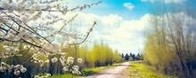 Defocused Spring Landscape. Beautiful Nature With Flowering Willow Branches And Forest Road Against Blue Sky With Clouds, Soft Focus. Ultra Wide, Generative AI