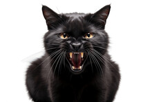 Hissing Black Cat On A Background With Transparency. AI