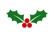 Christmas holly berries leaves flat icon. PNG illustration.