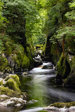 River Tumbling Over Rocks As It Flows Through A Narrow Rocky Gorge/canyon Surrounded By Moss Covered Rocks Green Leaves And Trees. Fairy Glen, Ffos Anoddun, Betws-y-coed, Snowdonia, Wales