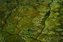 Africa Aerial Landscape, Green River, Okavango Delta In Botswana. Lakes And Rivers, View From Airplane. Forest. Vegetation In South Africa. Trees With Water In Rainy Wet Season. Travel In Botswana.