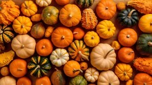 Colorful Pumpkins And Gourds On Autumn Market. Autumn Thanksgiving Background.