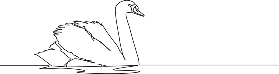Wall Mural - continuous single line drawing of swan on water, line art vector illustration