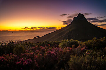 Wall Mural - View of Lion's head from Kloof Corner hike at sunset in Cape Town, Western Cape, South Africa