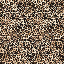 Leopard Skin Pattern, Animal Leather Seamless Design