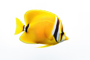 Wall Mural - Image of butterflyfish on white background. Fish. Undersea animals. Illustration, Generative AI.