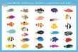 色々な熱帯魚のイラストセット　トロピカルフィッシュ