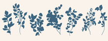 Beautiful Vector Floral Set With Hand Drawn Shadow Plant Branches With Leaves Silhouette. Stock Illustration.