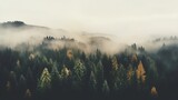 Fototapeta Las - Generative AI, Misty autumn fir forest beautiful landscape in hipster vintage retro style, foggy mountains and trees.	