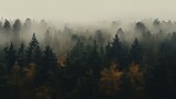 Fototapeta Na ścianę - Generative AI, Misty autumn fir forest beautiful landscape in hipster vintage retro style, foggy mountains and trees.	