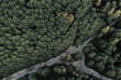Widok na las i drogę z góry, las z lotu ptaka, zdjęcia lasu z drona, ekologia. View of the forest and the road from above, forest from a bird's eye view, photos of the forest from the drone, ecology.
