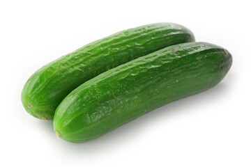 Sticker - The green cucumbers