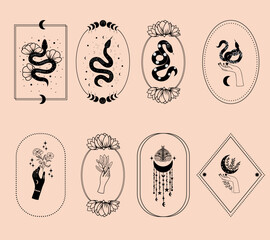 Set of mystical illustrations, witchy hands, floral moon, snakes and mystical flowers, witchcraft symbol, witchy esoteric objects