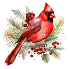 Watercolor Christmas Red Cardinal Illustration, Generative Ai