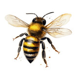 Fototapeta Zwierzęta - Watercolor bees Illustration, Generative Ai