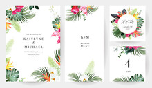 Tropical Flowers And Leaves Vector Design Cards. White Orchid, Strelitzia, Protea, Medinilla, Monstera, Jungle Palm Leaves