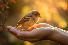 A Person Holding A Cute Small Bird Sparrow In Open Hands Outside In A Park With A Forest With Blurry Background. Bokeh Light Effects. Desktop Wallpaper Background 16:9. Generative AI