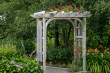An Outdoor Wooden Curved Shaped Archway Or Arbor Surrounded By A Lush Green Garden.  The Park Has Birch Trees, Climbing Red Roses, Orange Lily Flowers, And Vibrant Green Shrubs In A Botanical Park. 