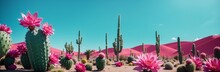 Cactus Plants With Pink Blooms In The Desert, Pink And Green Desert Flora
