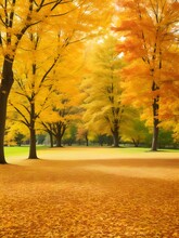 Autumn Leave Fall Yo The Ground Background Orange And Yellow Color Trees