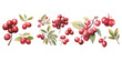 watercolor cranberry clipart for graphic resources