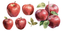 Watercolor Apple Clipart For Graphic Resources