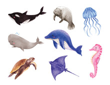 Set Of Marine Life. Sea Animals Watercolor Vector Illustration