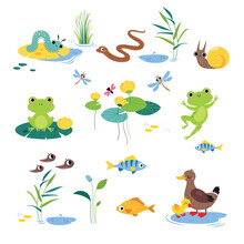 Swamp With Animals And Growing Water Plants Vector Set