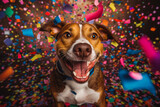 Fototapeta Koty - A super happy dog on it's birthday surrounded by confetti. Happy dog jumping.