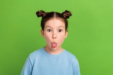 Portrait of funny funky little girl with brown buns hairstyle wear blue pullover showing tongue isolated on green color background