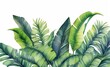 Tropical palm and banana leaves. Jungle wallpaper. Isolated watercolor background, Generative AI