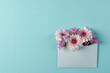 White and pink flowers in white envelope and copy space on blue background
