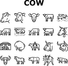 Cow Farm Dairy Cattle Milk White Icons Set Vector. Agriculture Nature, Livestock Grass, Beef Field, Pasture Animal, Meadow Calf, Summer Cow Farm Dairy Cattle Milk White Black Contour Illustrations