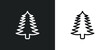 white spruce tree icon isolated in white and black colors. white spruce tree outline vector icon from nature collection for web, mobile apps and ui.