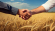 © ALA - Two businessmen in a jacket and shirt shake hands while concluding a grain and wheat trade close-up, next to a wheat field and blue sky. Handshake of two men.