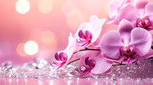 Close Up Of Purple Orchid On A Light Pink Dreamy Background With A Sparkling Diamonds