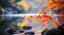 川岸にある楓の葉が紅葉して落ちそうな明るく美しい写真
