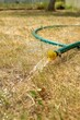 Green hose pours water on dry grass.