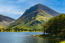 Calm Waters Of Buttermere With The Tall Mountain Of Fleetwith Pike And The Honnister Pass Behind (Lake District)