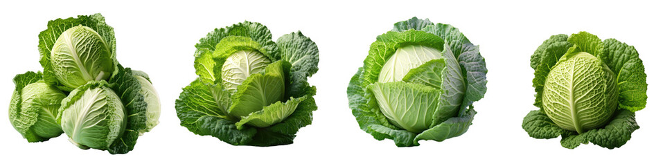 Sticker - cabbage against transparent background