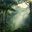 © Lubos Chlubny - Amazon rainforest in mist in morning light