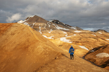 Poster - The family went hiking in Park in Iceland