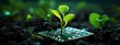 Small plant on circuit board, technology and sustainability concept. Generative AI